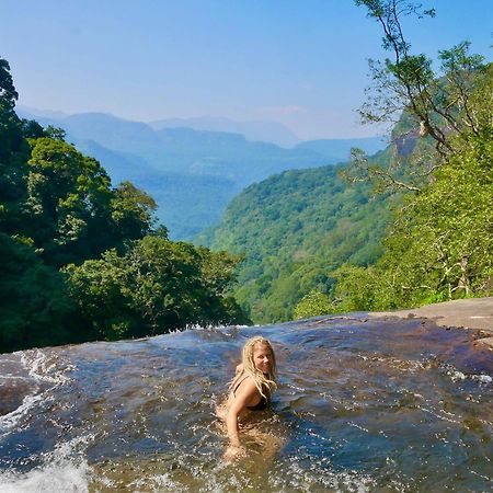 Chalet In The Jungle Pallegama 外观 照片