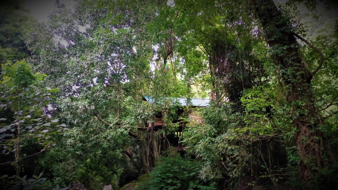Chalet In The Jungle Pallegama 外观 照片