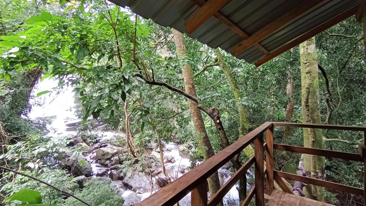 Chalet In The Jungle Pallegama 外观 照片
