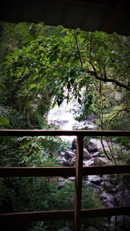 Chalet In The Jungle Pallegama 外观 照片