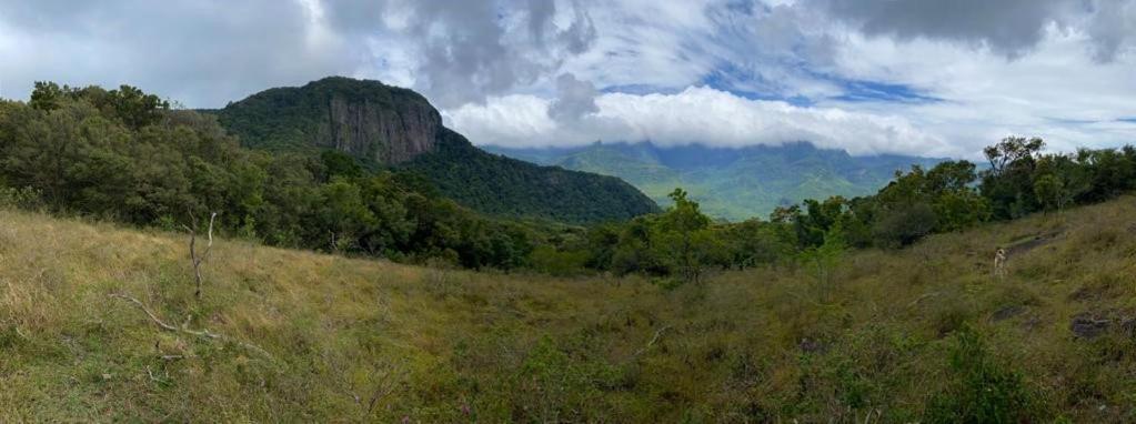 Chalet In The Jungle Pallegama 外观 照片