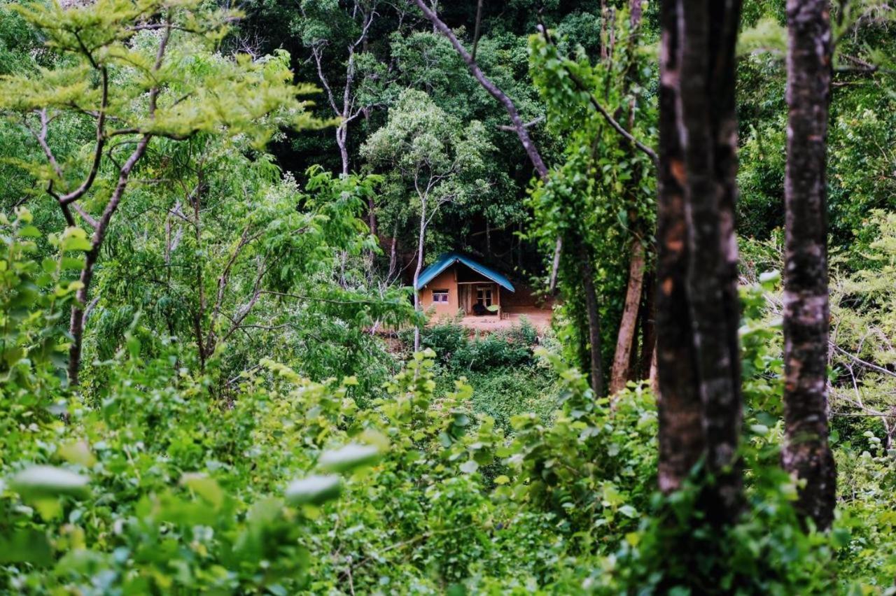 Chalet In The Jungle Pallegama 外观 照片