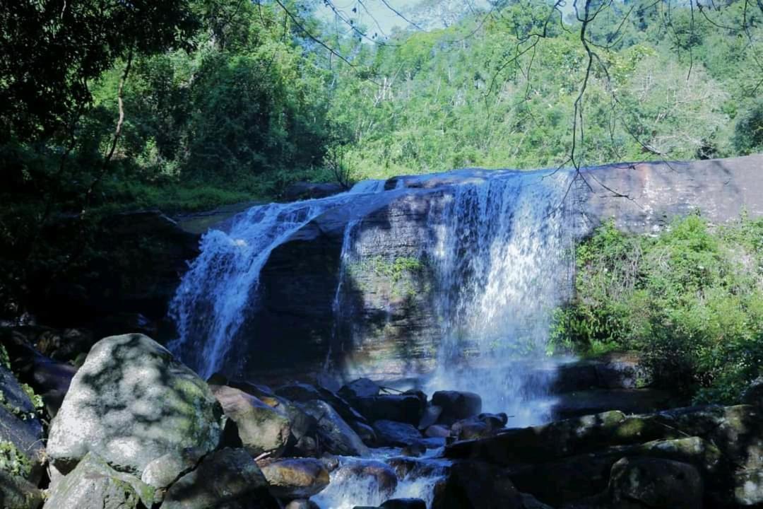 Chalet In The Jungle Pallegama 外观 照片