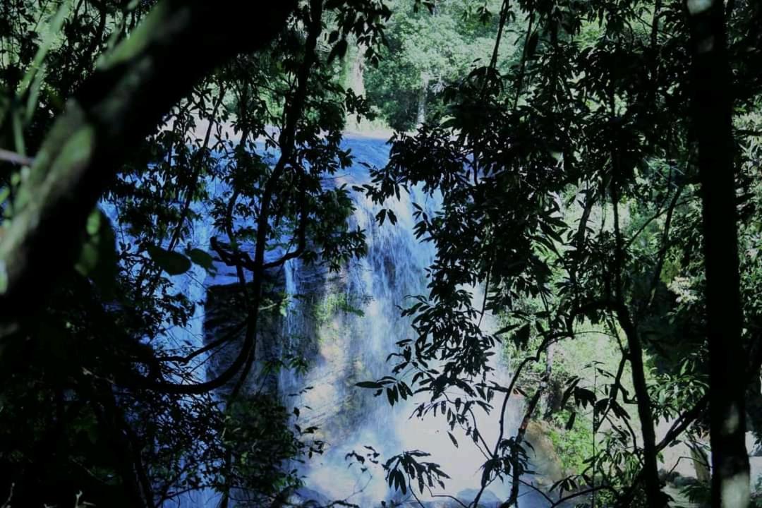 Chalet In The Jungle Pallegama 外观 照片