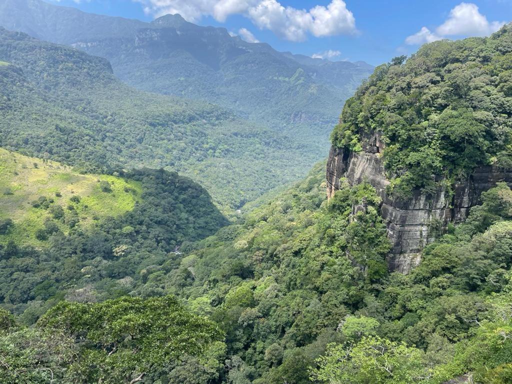 Chalet In The Jungle Pallegama 外观 照片