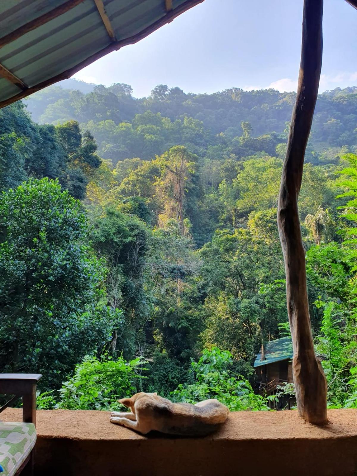 Chalet In The Jungle Pallegama 外观 照片