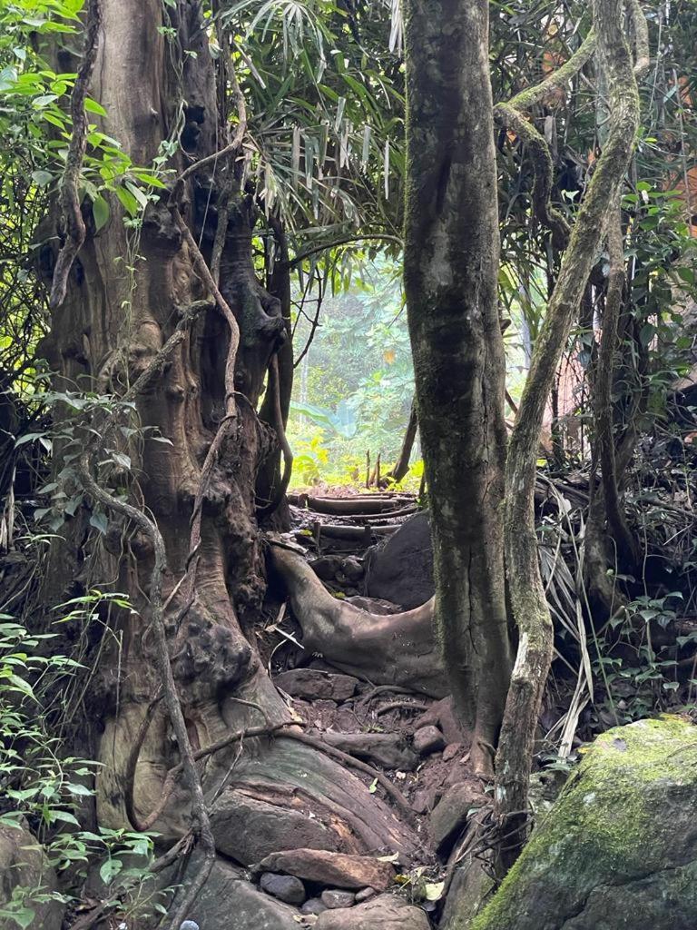 Chalet In The Jungle Pallegama 客房 照片